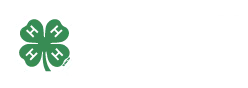 Tennesse 4-H Foundation Logo